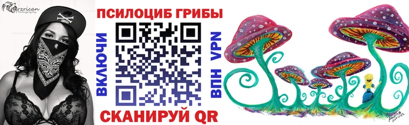 кракен tor  Светлый  Псилоцибиновые грибы мицелий  закладка 